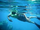 snorkeling